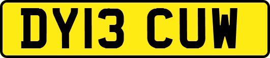 DY13CUW