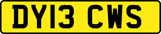 DY13CWS