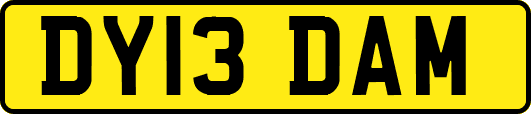 DY13DAM