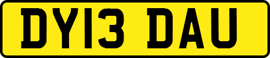DY13DAU
