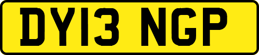 DY13NGP