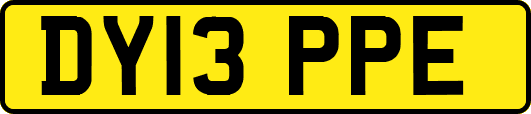 DY13PPE