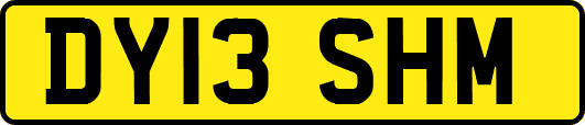 DY13SHM