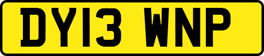 DY13WNP