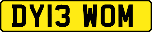 DY13WOM