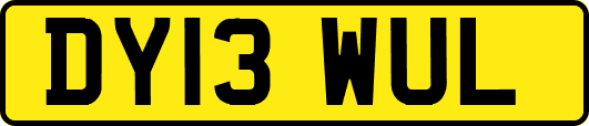 DY13WUL