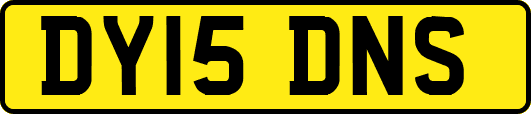 DY15DNS