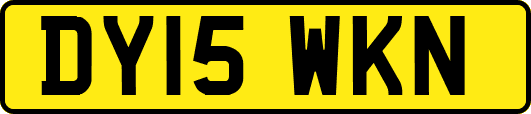 DY15WKN