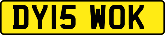 DY15WOK