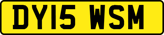 DY15WSM