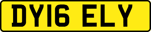 DY16ELY