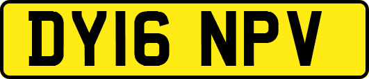 DY16NPV