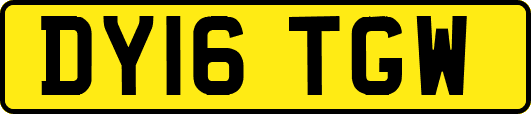 DY16TGW