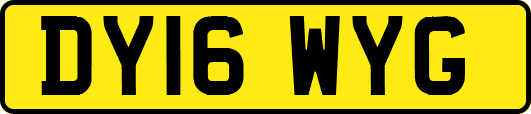 DY16WYG