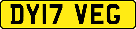 DY17VEG