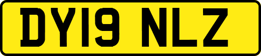DY19NLZ