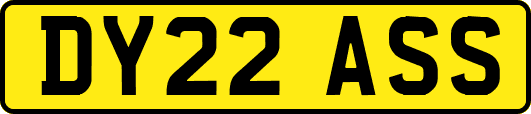 DY22ASS