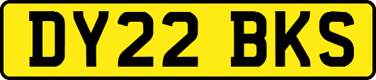 DY22BKS