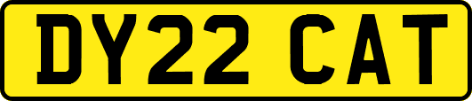 DY22CAT