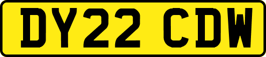 DY22CDW