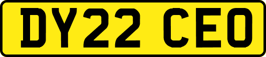 DY22CEO