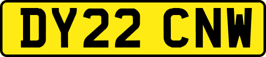 DY22CNW