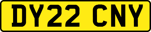 DY22CNY
