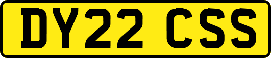 DY22CSS