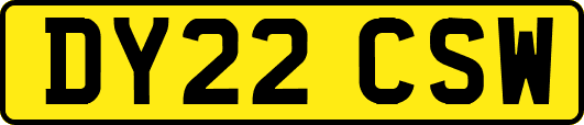 DY22CSW