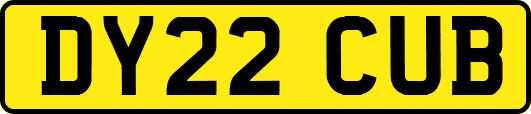 DY22CUB