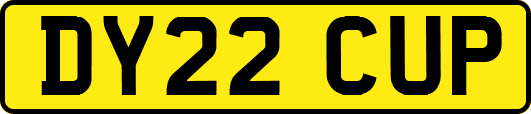 DY22CUP