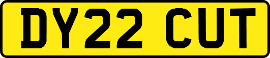 DY22CUT
