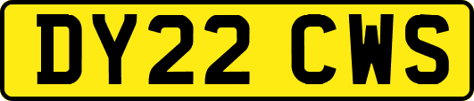 DY22CWS