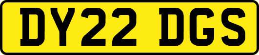 DY22DGS