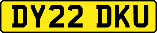 DY22DKU