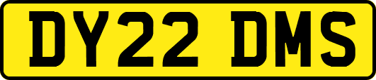 DY22DMS
