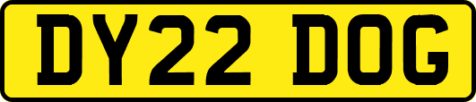 DY22DOG