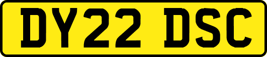 DY22DSC