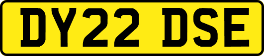 DY22DSE