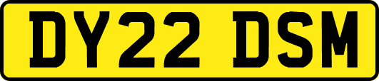 DY22DSM