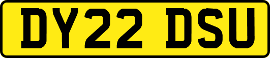 DY22DSU