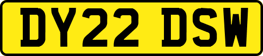 DY22DSW