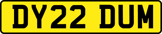 DY22DUM