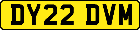 DY22DVM