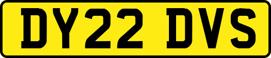 DY22DVS