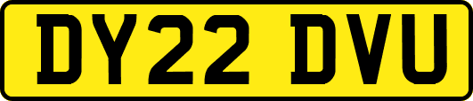 DY22DVU