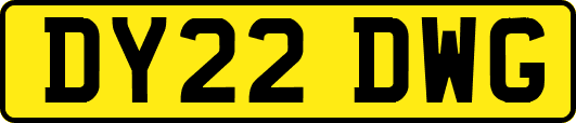 DY22DWG