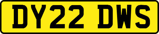 DY22DWS