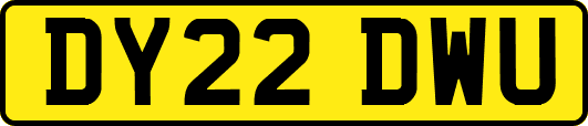 DY22DWU