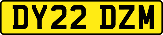 DY22DZM